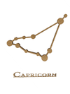 Capricorn i eg
