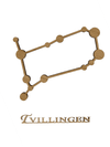 Tvillingen i eg