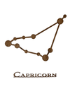 Capricorn i valnød